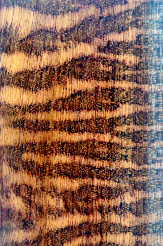 snakewood.jpg